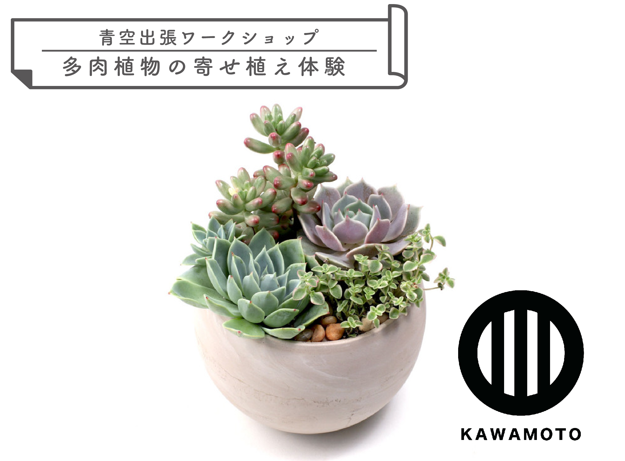 ［青空出張ワークショップ］多肉植物の寄せ植え体験！